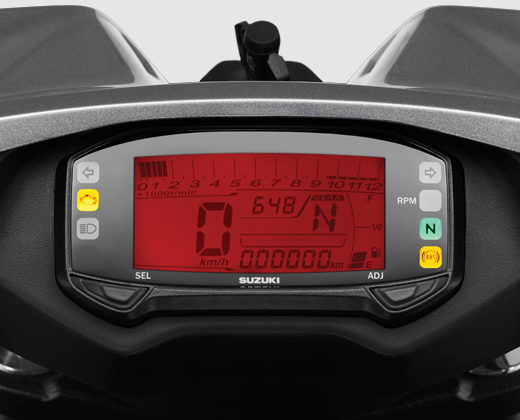 SMART DIGITAL INSTRUMENTATION